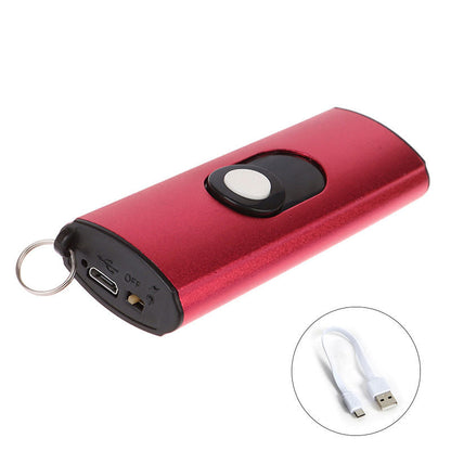 Mini UsB Tactical Flashlight Stun Gun Keychain